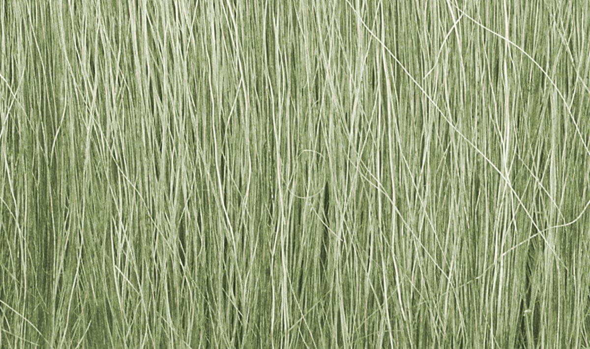 Woodland Scenics Scale Model Accessories Woodland Scenics Field Grass- Light Green (8gms Bag/Cd)