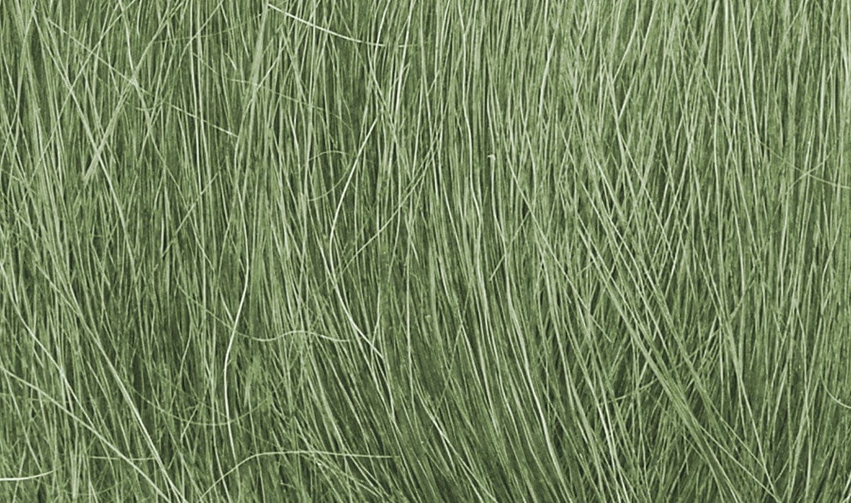 Woodland Scenics Scale Model Accessories Woodland Scenics Field Grass- Medium Green (8gms Bag/Cd)