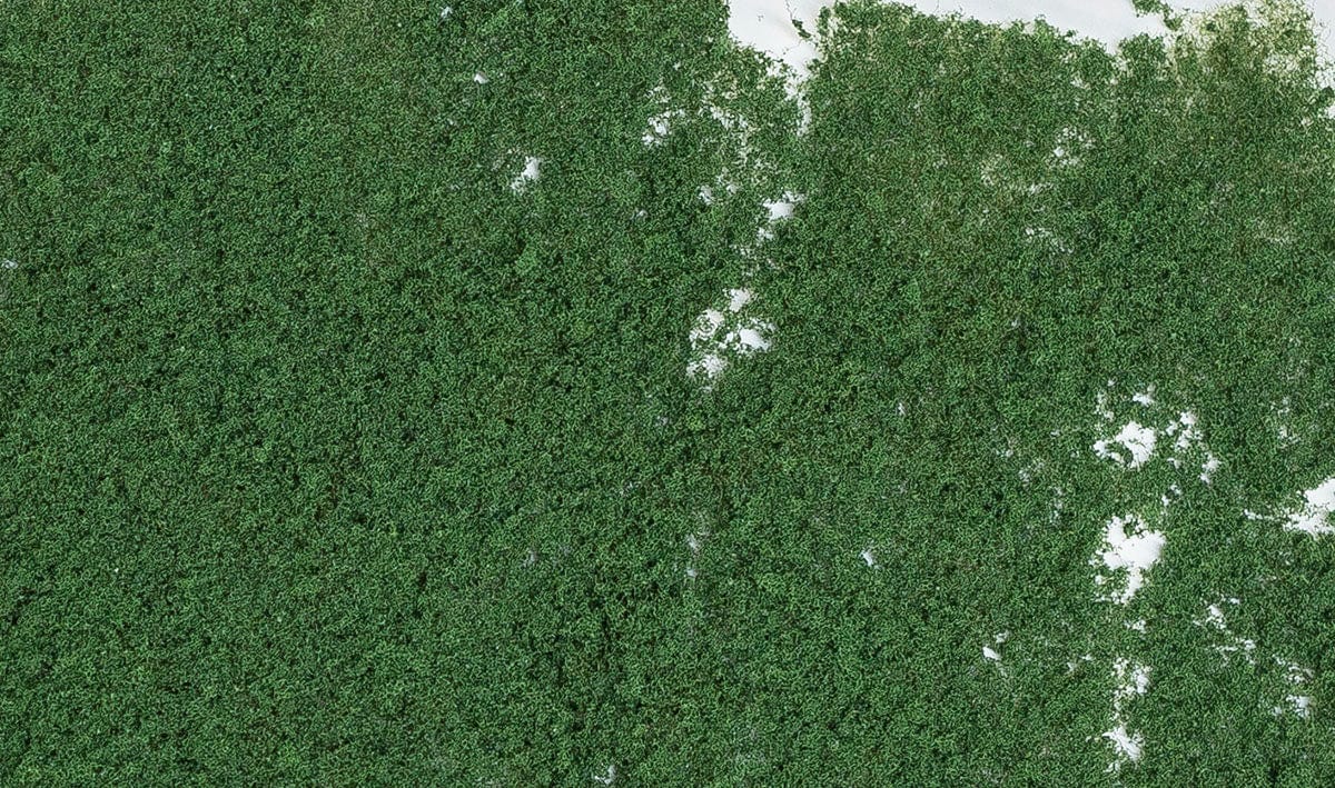 Woodland Scenics Scale Model Accessories Woodland Scenics Foliage- Dark Green (60sq. in. Bag)