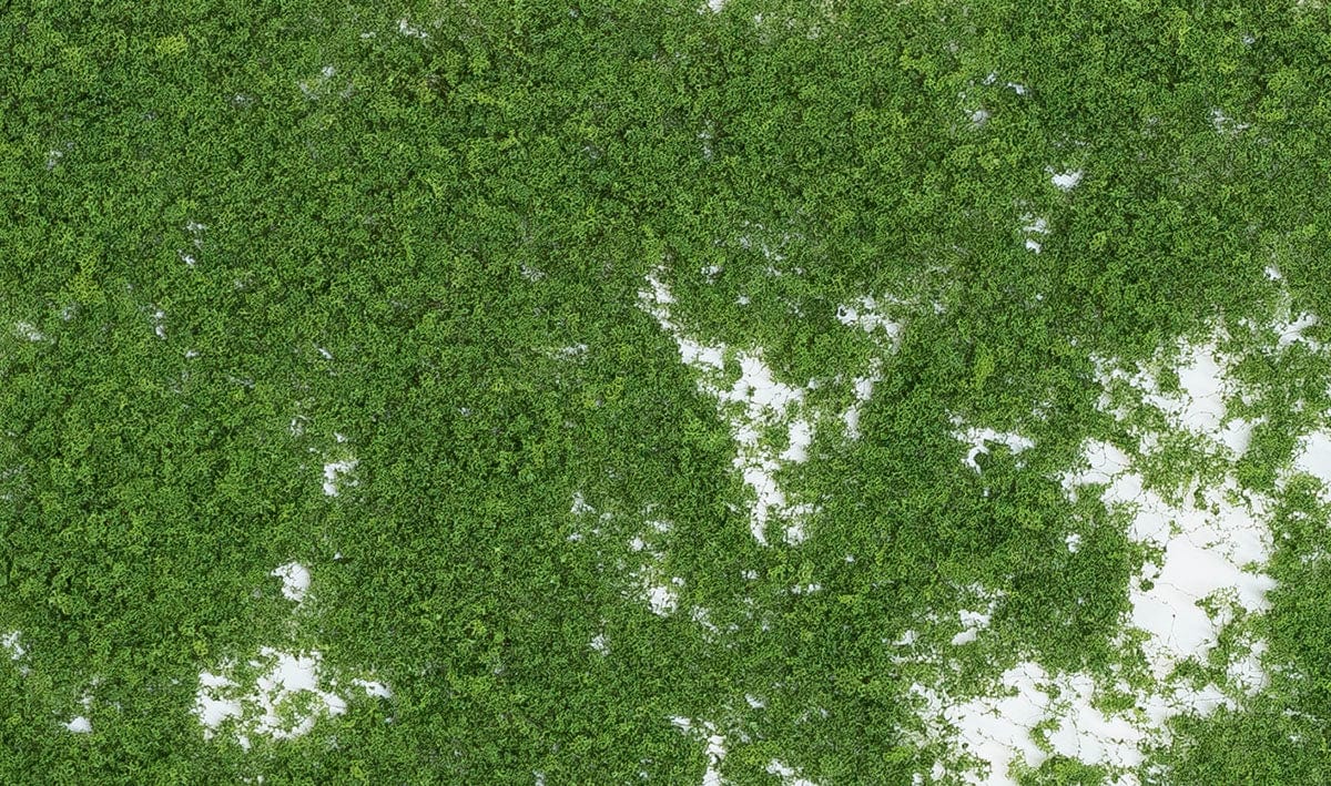 Woodland Scenics Scale Model Accessories Woodland Scenics Foliage- Medium Green (60sq. in. Bag)