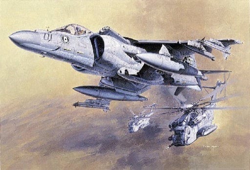 Hasegawa Scale Model Kits 1/48 Hasegawa AV-8B Harrier II Plus