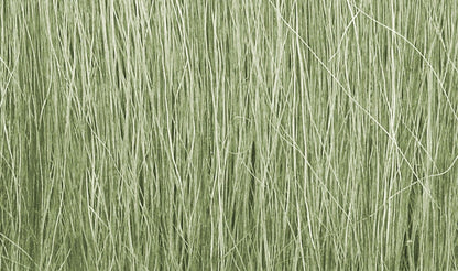 Woodland Scenics Scale Model Accessories Woodland Scenics Field Grass- Light Green (8gms Bag/Cd)