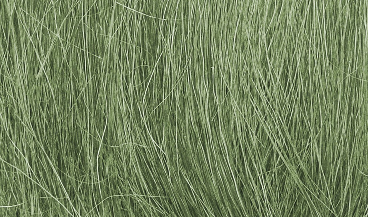 Woodland Scenics Scale Model Accessories Woodland Scenics Field Grass- Medium Green (8gms Bag/Cd)